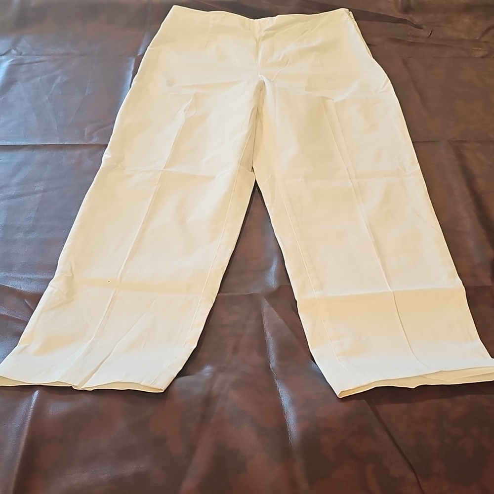 B1 White Talbots Slacks Sz 10 - Picture 2 of 5